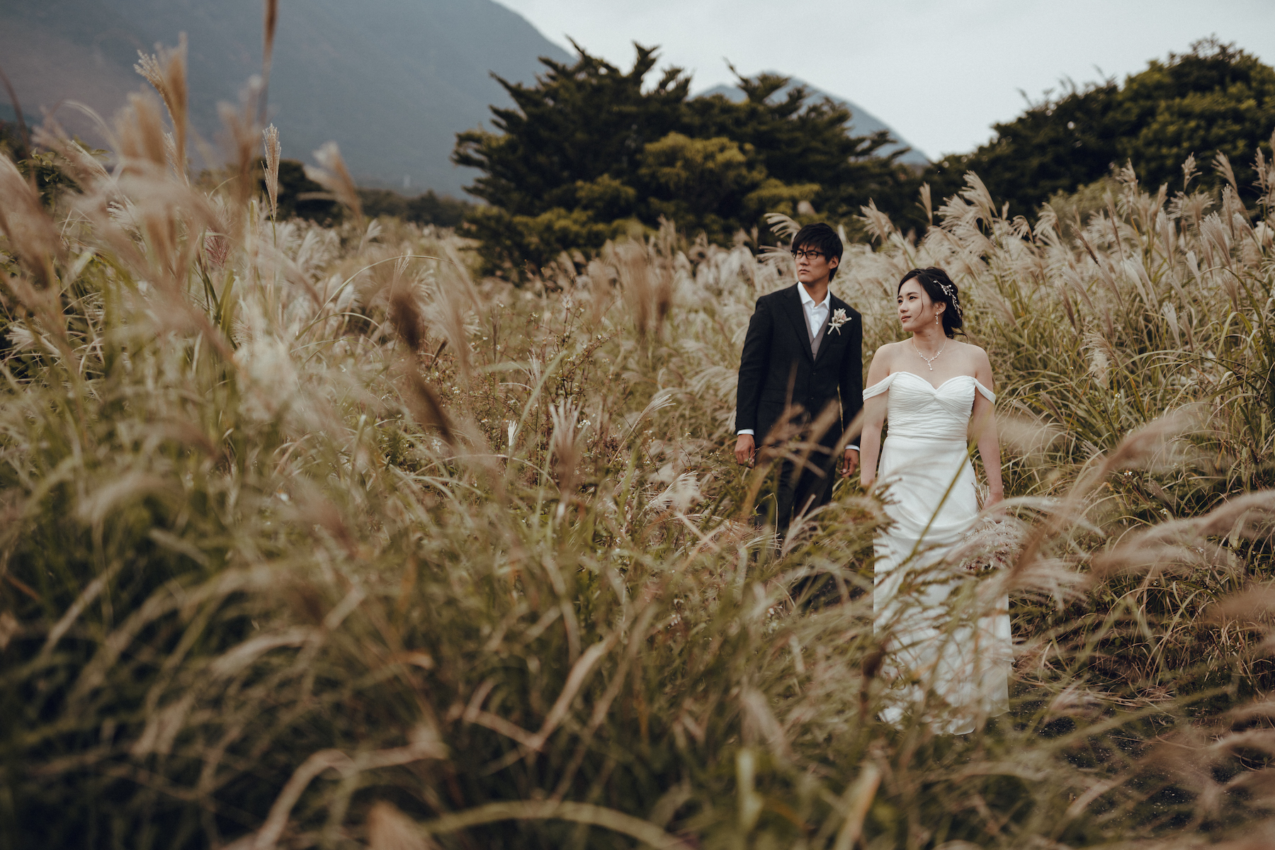 Yakushima Life and Wedding